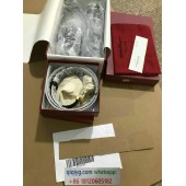 qiqiyg.com ufficiale spedizione contatto qiqiyg whatsapp :+8618120605182 YG25